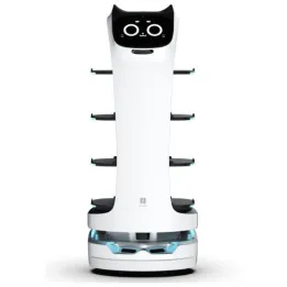 PUDU BellaBot server robot