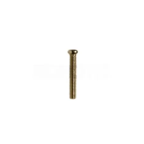 S4 PHS M2x12 Bolt (50 pcs)