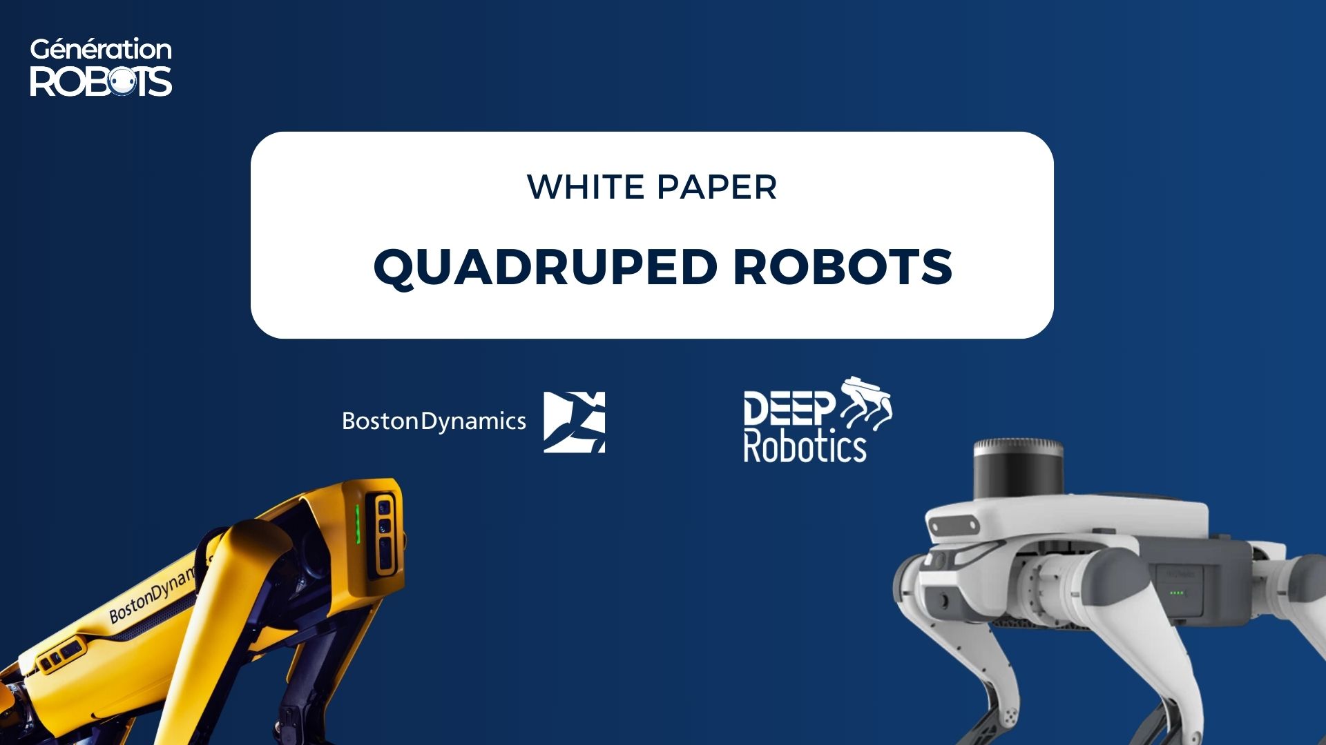 Quadruped robots white paper